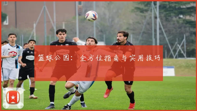 篮球公园：全方位指南与实用技巧