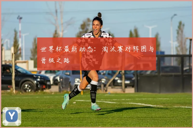 世界杯最新动态:淘汰赛对阵图与晋级之路